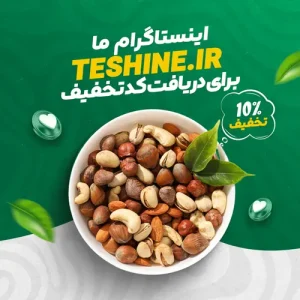 اینستاگرام تی شین