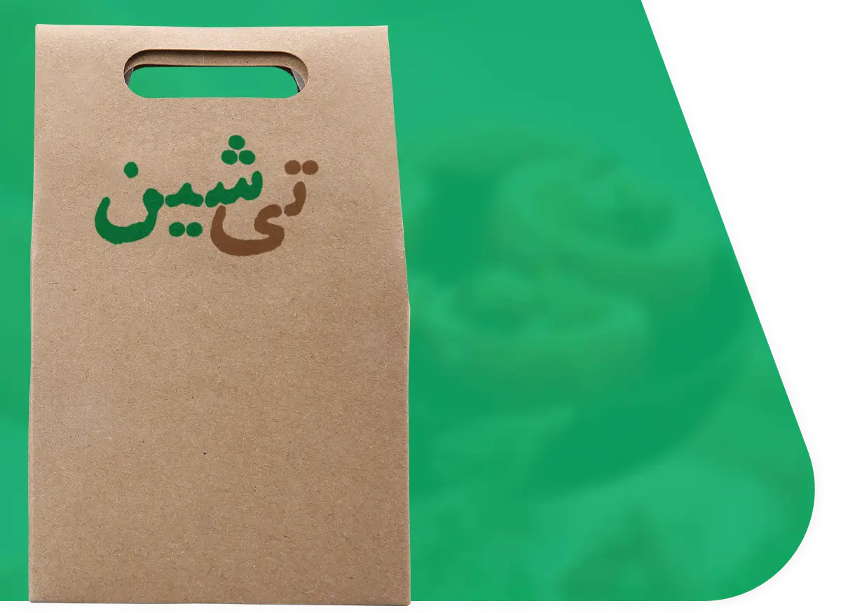 تی شین
