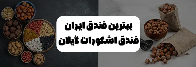 بهترین فندق ایران فندق اشکورات گیلان تی شین