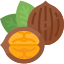 مغز گردو