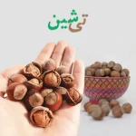 فندق خام اشکورات نمونه تی شین