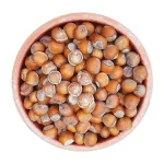 عکس پی ان جی png فندق خام ترک خورده اشکورات تی شین