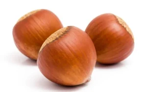 انواع فندق موجود در بازار