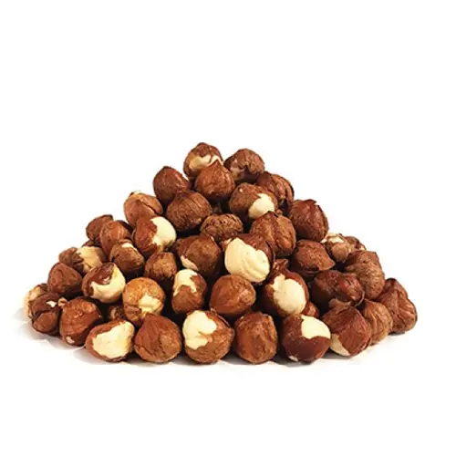 خرید مغز فندق اشکورات تازه و ارزان و با کیفیت