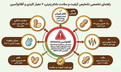 تصویر مرتبط