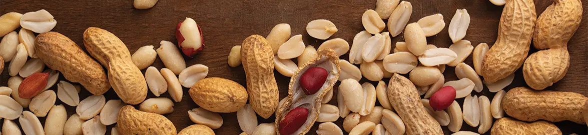 بهترین بادام زمینی ایران کدام است؟