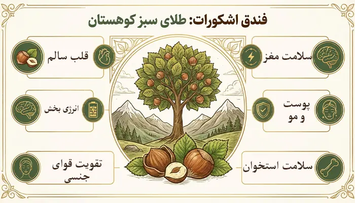 تصویر مرتبط