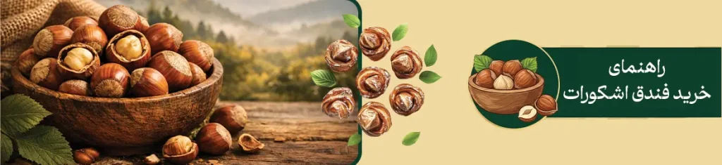 رهتمای خرید فندق-تی شین