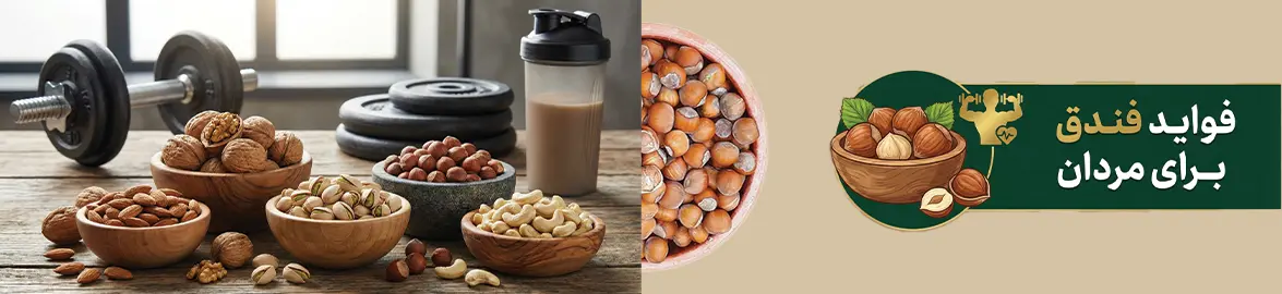 فواید فندق برای مردان