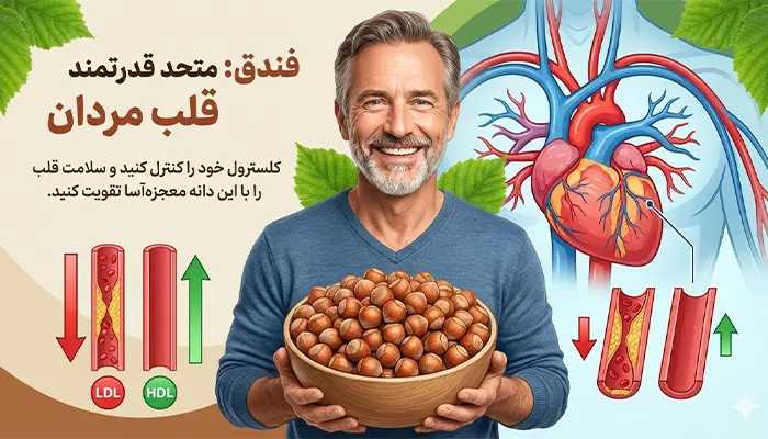 فواید فندق برای مردان