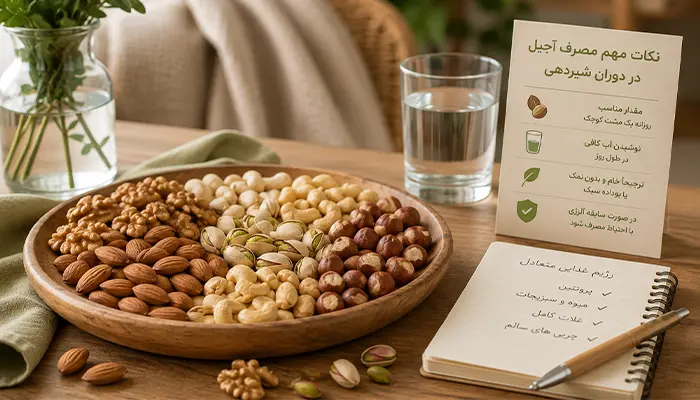 نکات مهم مصرف آجیل در دوران شیردهی