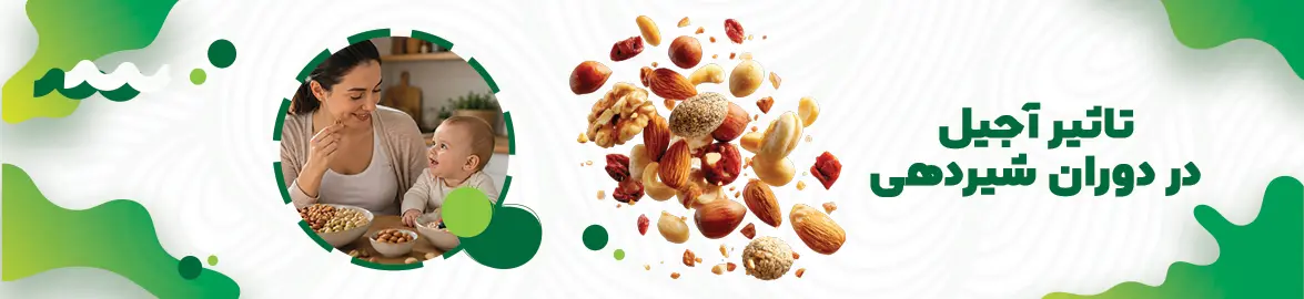 تاثیر ایل در شیردهی نوزاد تی شین