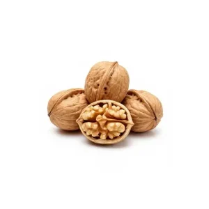 گردوی ایرانی روغنی - تی شین
