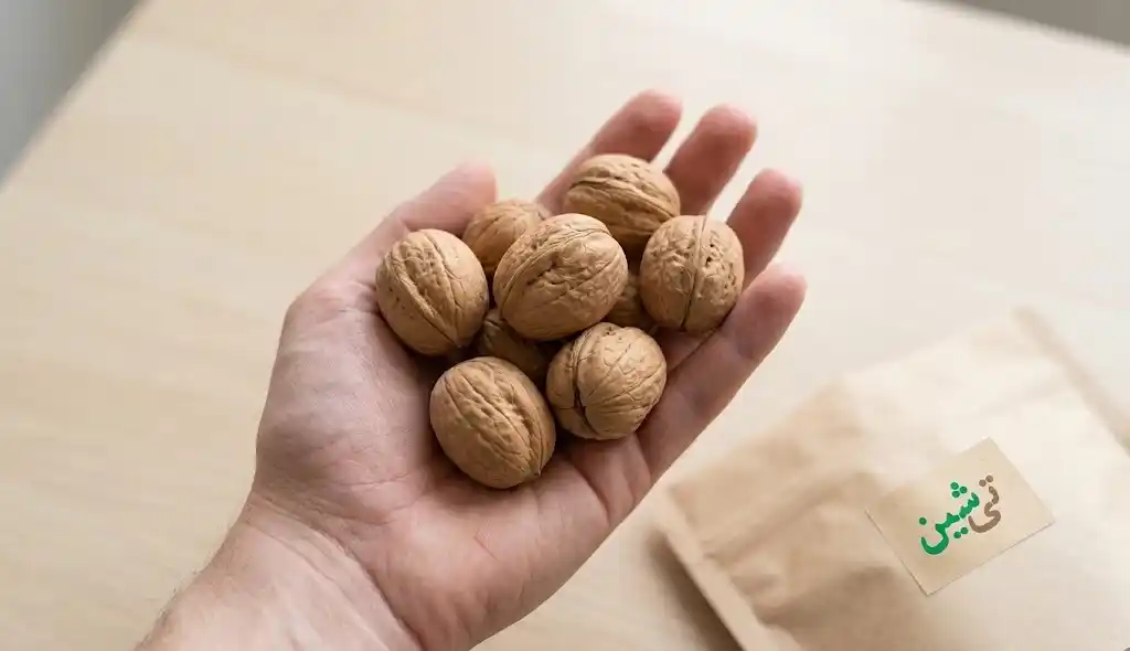 چند گردو با پوست تمیز در کف دست با نور طبیعی یکدست و پس زمینه خلوت