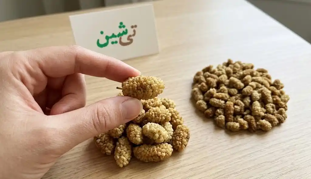 بررسی رنگ، تازگی و بافت توت خشک باکیفیت